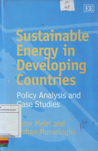 Sustainable energy in developing countries: Policy analysis and case studies